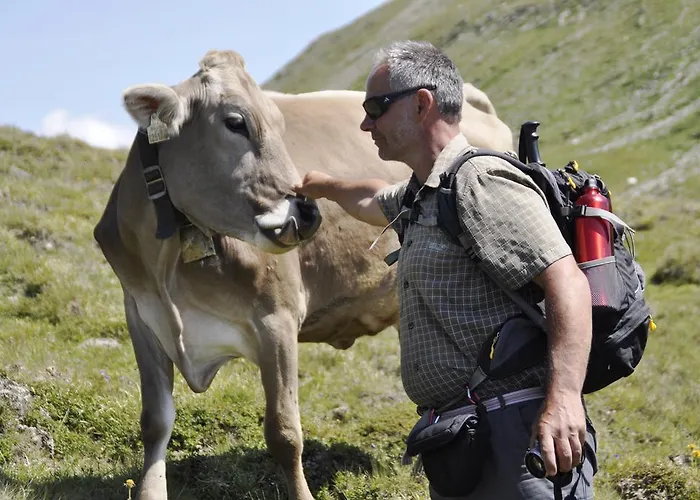 Apartman Haus Tiroler Heimat *